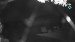 Webcams