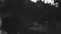 Webcams