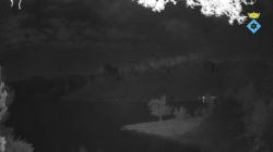 Webcams