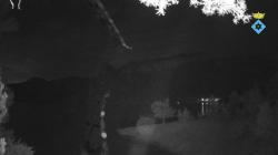 Webcams