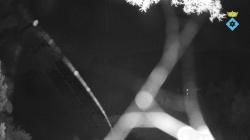 Webcams