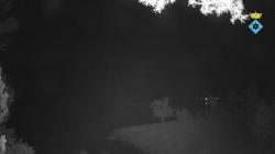 Webcams