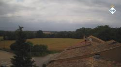 Webcams