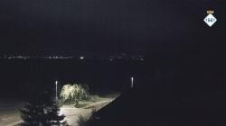 Webcams